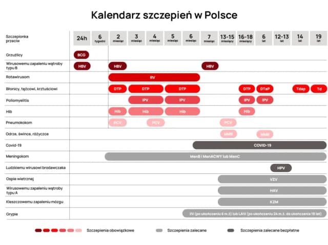 Kiedy szczepienia dziecka? Poznaj ważne terminy i zalecenia Kiedy szczepienia dziecka? Poznaj ważne terminy i zalecenia